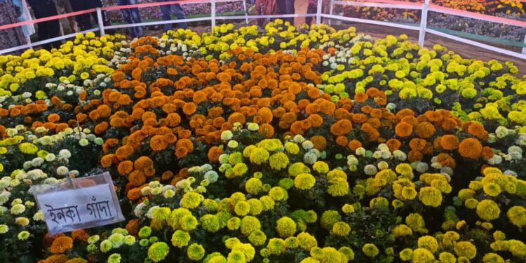 আবার ফুল মেলা জেলায়।