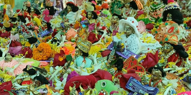 জমজমাট বর্ধমানে দেবতার পিকনিক।